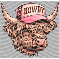 Country music-CM-490